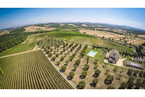 Wine estate for sale in Tuscany, Siena. winery company for sale near Siena, Chianti area. wine production, hotel, swimming pool, Spa, fitness