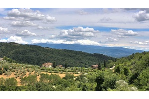 For sale Luxury real estate property with villa, farmhouse, swimming pools and land in the province of Florence, Figline Valdarno