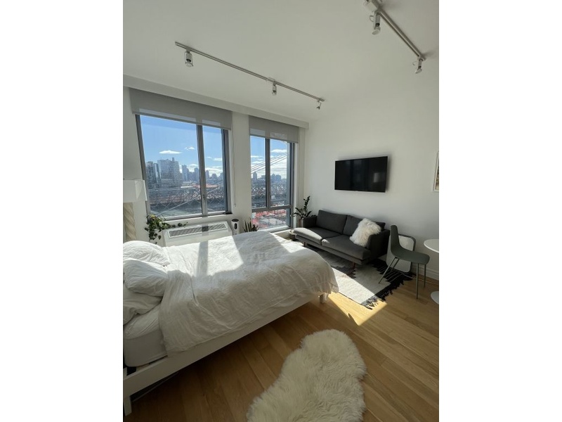 325 Kent Avenue, Brooklyn, NY, 11249 Studio for rent, apartment