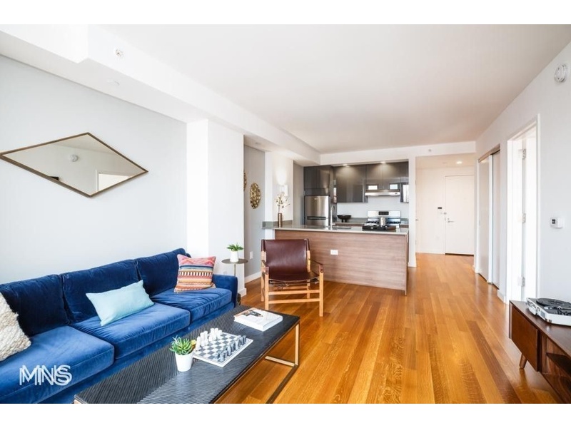 223 4th Avenue, Brooklyn, NY, 11215 1 BR for rent, apartment rentals