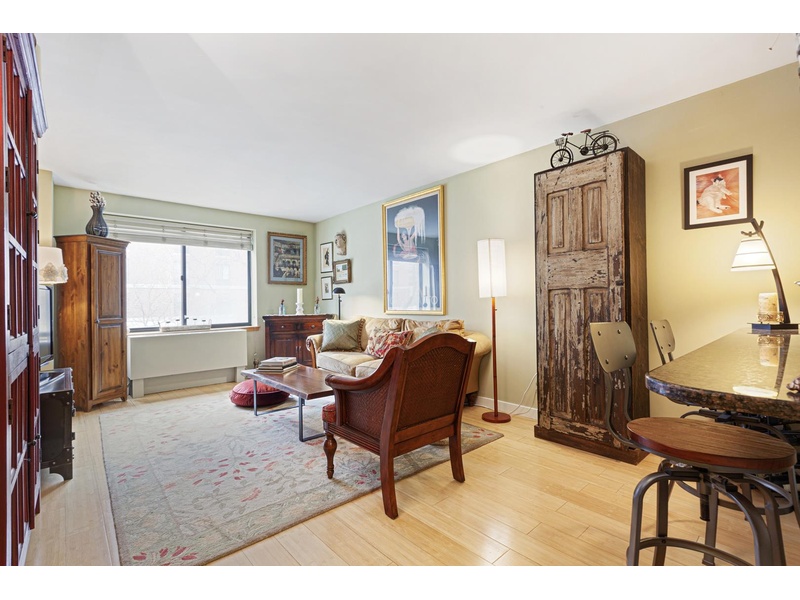 280 Rector Place, New York, NY, 10280 1 BR for rent, apartment