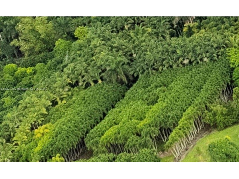 SW 156 Ave and SW 208 St, Miami, FL, 33187 for sale, Land sales