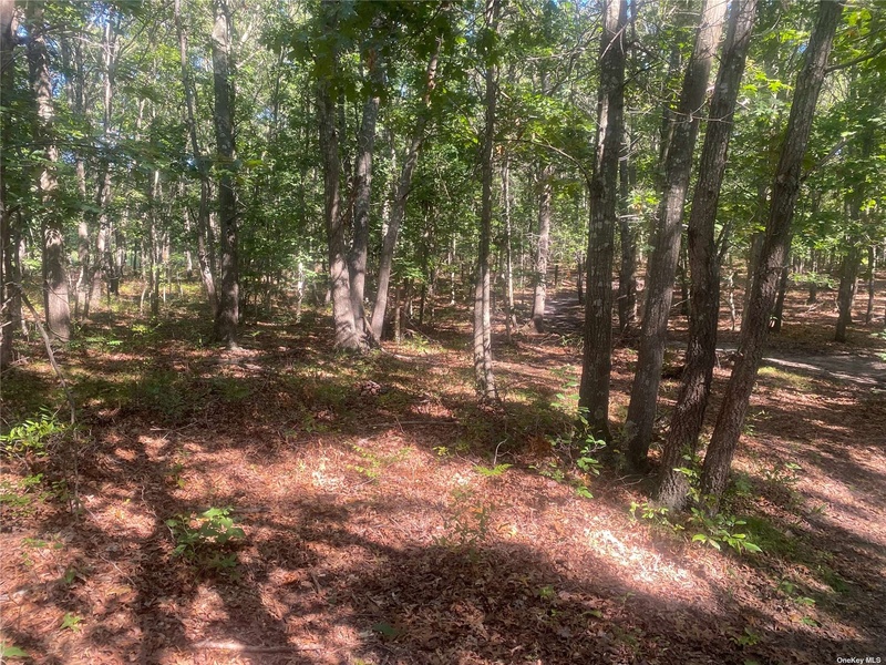 183 Weeks Avenue, Manorville, NY, 11949 for sale, sales Nest Seekers