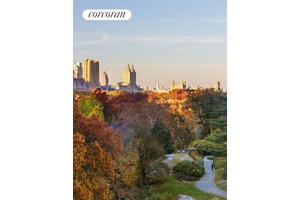 110 Central Park South, 8B is a Coop with Condo rules and striking views of Central Park.