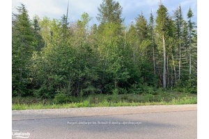 Treed vacant lot for sale in the Georgian Bay Estates area with access to the waters of Georgian Bay on Sunset Trail.