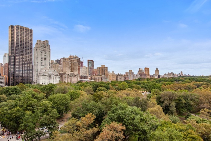 WEST CENTRAL PARK VIEW