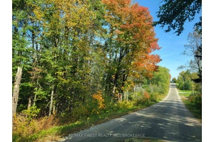 1 acre lot, with frontage on both Patrick and Victoria Streets, offers incredible potential to !