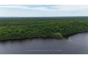 Natural untouched forest habitat on Pristine Tangamong Lake !