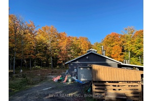 Turnkey 16, 000 tap maple syrup operation with a house, west of Trout Creek, Ontario, ready to earn income.