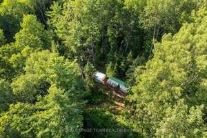 Tucked away in the towering trees, this 11 acre parcel is your chance to truly unplug, offering a cozy cabin and the peace of nature in an untouched forest poplar, ...