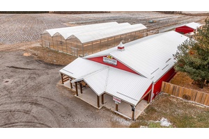Have you been searching for a farm with income and a solid house to live in or rent out ?