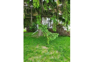 Great Opportunity For Investors And First Time Buyers !
