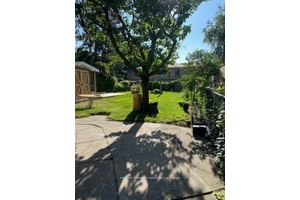 2 Bedrooms High Ceiling Basement Apt In A Central Location Close To All Amenities.