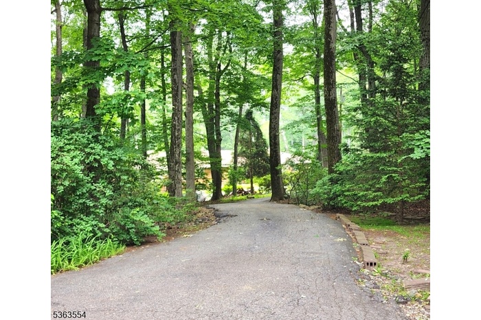 Driveway Entrance View