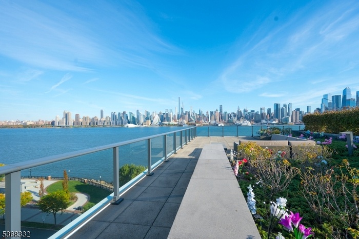 Terrace, NYC VIEWS