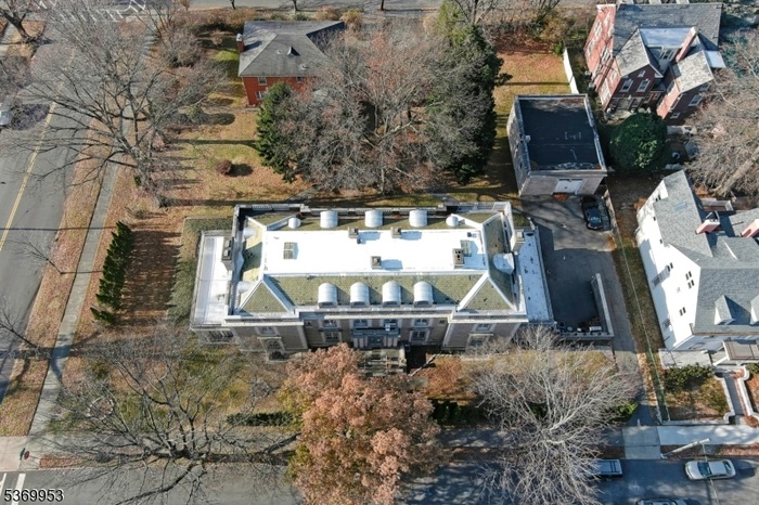 Drone View