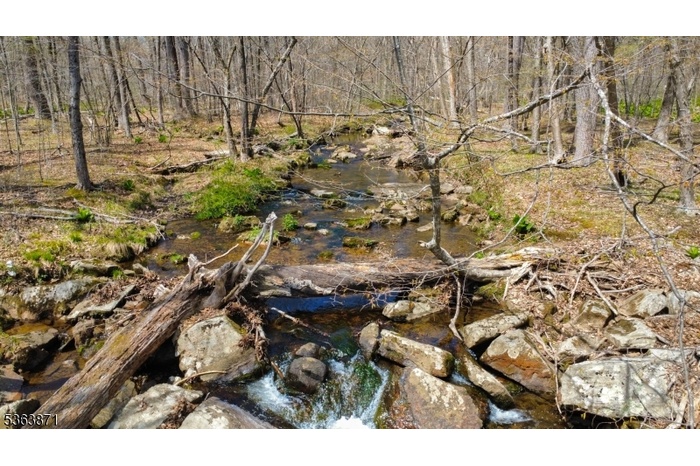 Stream on Property