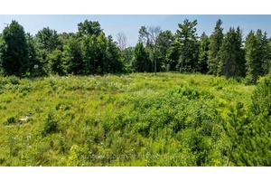 Build your dream retreat at 1886 March Road, Ottawa a scenic 2 acre parcel in Kanatas desirable west end, surrounded by Beachvale and Marchvale Estates.
