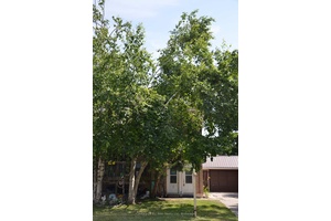 Triplex in the Heart of Orillia Steps to Couchiching Park !