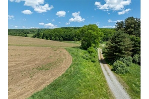 Discover a rare 150 acre estate in one of the Hudson Valley s most coveted farmland corridors.