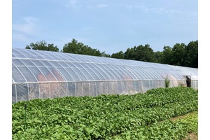 Zoned RA 5 32. 5 Acres Homestead, Agricultural.
