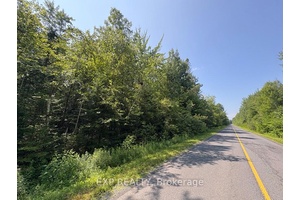 Escape to your own private sanctuary with this stunning 25 acre lot, nestled among a beautiful mix of mature trees and rich forest.