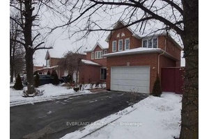 Separated Entrance basement apartment, 1 1 bedroom.