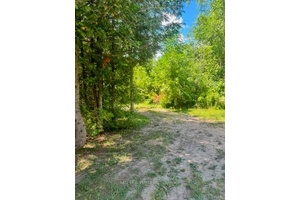 Waterfront Vacant Lot Pigeon river waterfront.