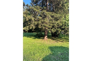 Ideal corner lot for development.