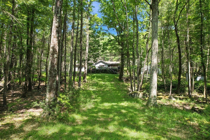 View of grassy yard with a view of trees
