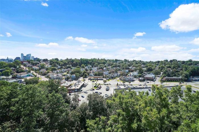 Bird's eye view of a tree filled landscape