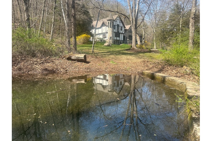 Pond