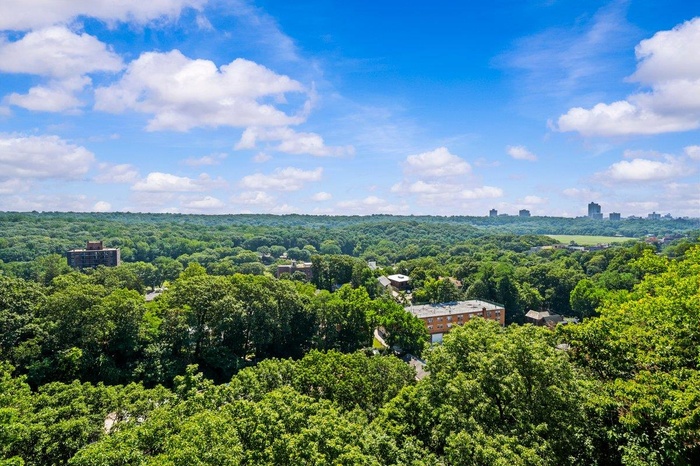 Bird's eye view of a heavily wooded area