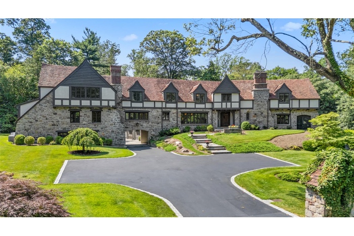 House with stone chimney, stucco siding, and sprawling grounds