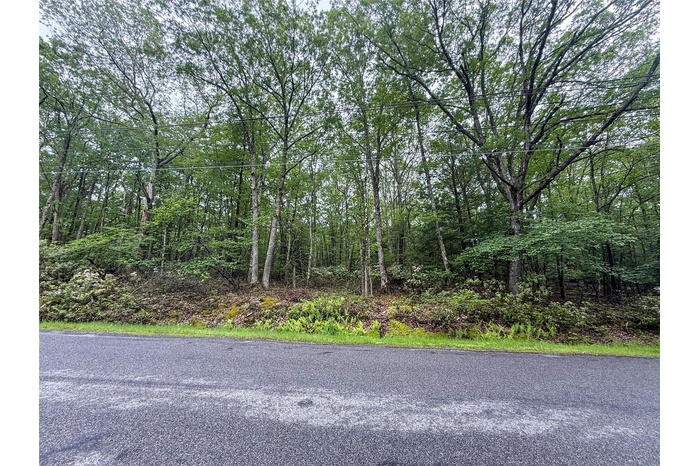 View of asphalt road featuring a wooded view