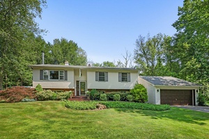 Charming Updated Raised Ranch with Outdoor Oasis.