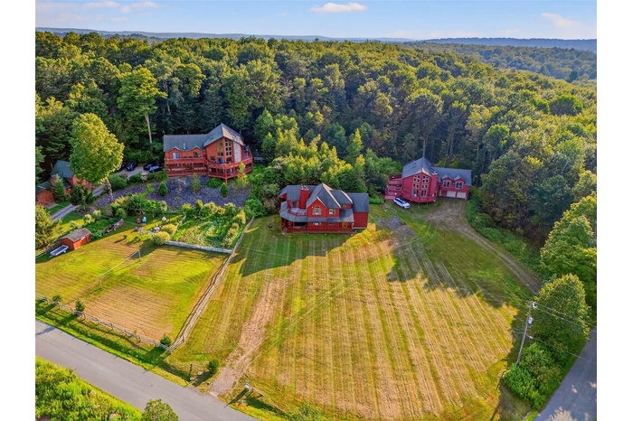 Drone / aerial view of a heavily wooded area