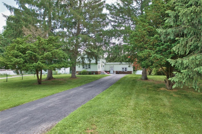 Privacy trees, view of property with a front yard and driveway