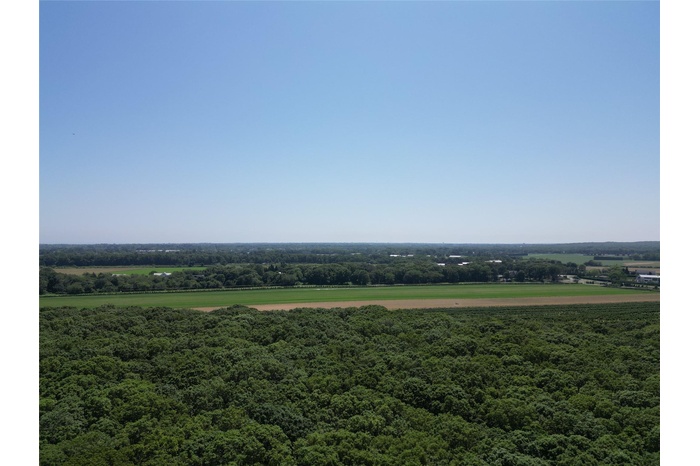 Aerial view of a forest