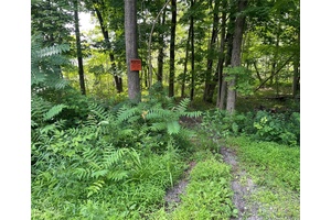 Build Your Dream Home in a Hidden Hudson Valley Gem.