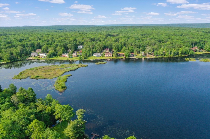 Aerial view of a heavily wooded area and a large body of water