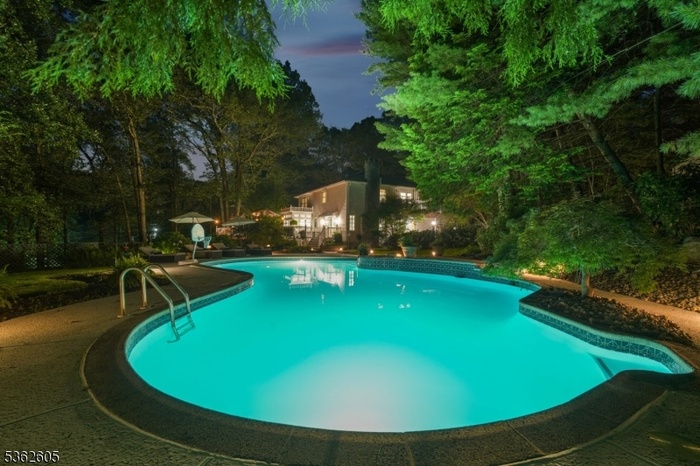 Night Swim Anyone!