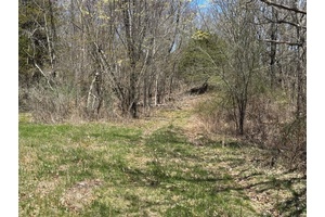 Welcome to your 54. 19 acre parcel, situated less than one mile from the Taconic State Parkway perfect for a commuter but very quiet !