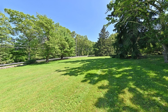 View of green lawn