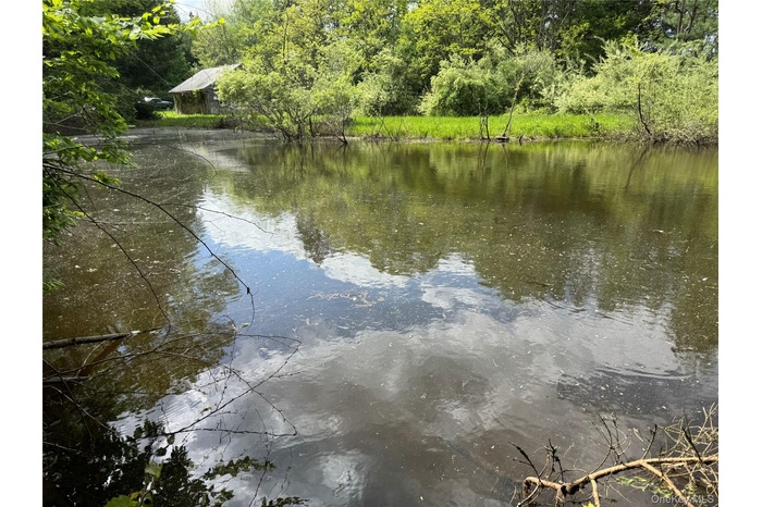 Water view featuring a forest