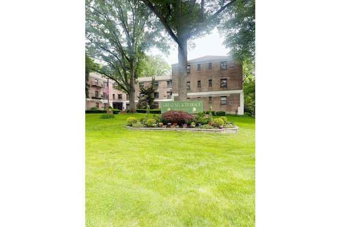 View of green lawn