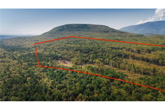 Drone / aerial view with a mountain view
