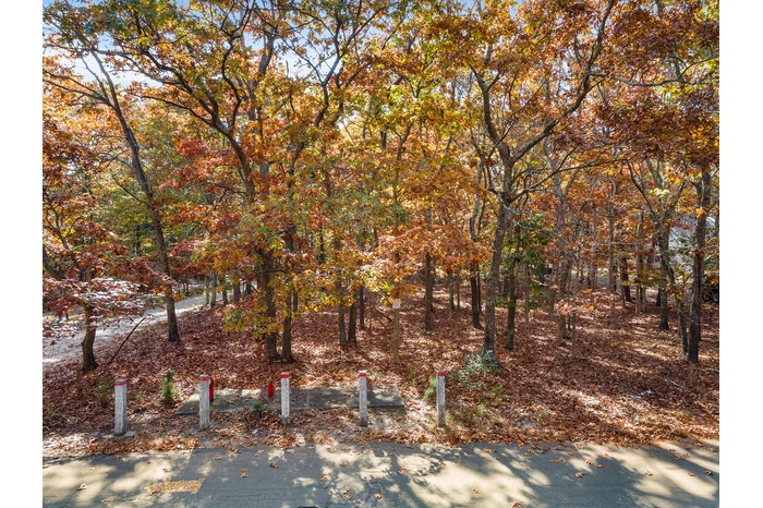 View of nature