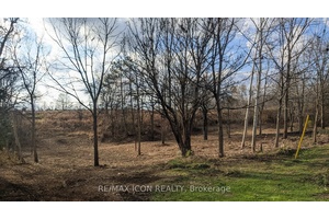 This wooded parcel in Wardsville Ontario, offers a serene and private setting, nestled in a tranquil area away from the main road.