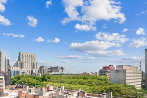 SPONSOR UNIT, NO BOARD APPROVAL EXPANSIVE HI FLOOR ALCOVE STUDIO HOME WITH OPEN CITY amp ; PARK VIEWS INVESTOR FRIENDLY CONDOP CONDO RULES COMPLETE WALL TO WALL NEW RENOVATION, NEVER ...